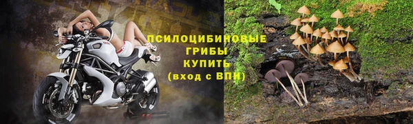 мяу мяу мука Беломорск