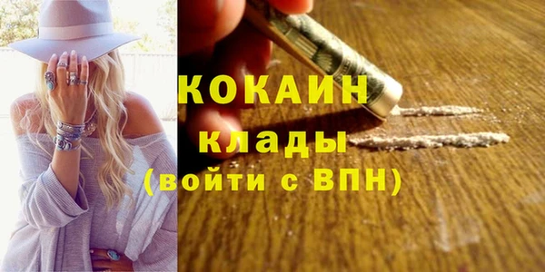 гашик Белокуриха