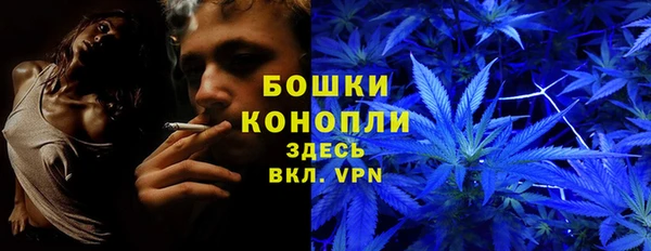 гашик Белокуриха