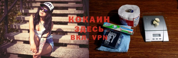 гашик Белокуриха